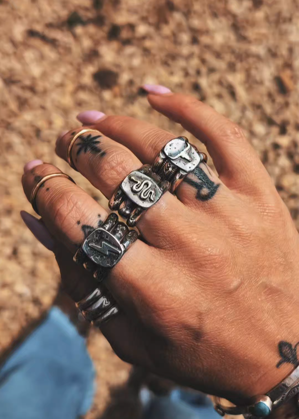 HIDDEN RINGS