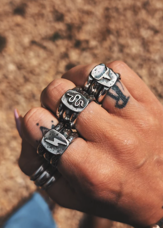 HIDDEN RINGS